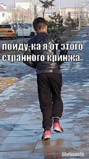 Sticker Арихану верблюдану - 1