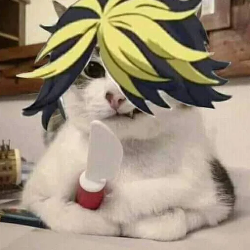 кошки малого и среднего размера кошачьи комнатный