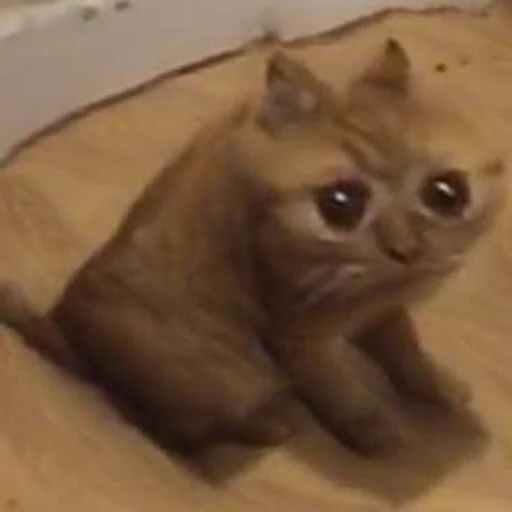 Sticker brokenpets - 1