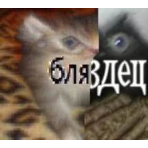 Sticker brokenpets - 1