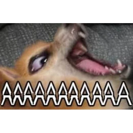 Стикер brokenpets - 1