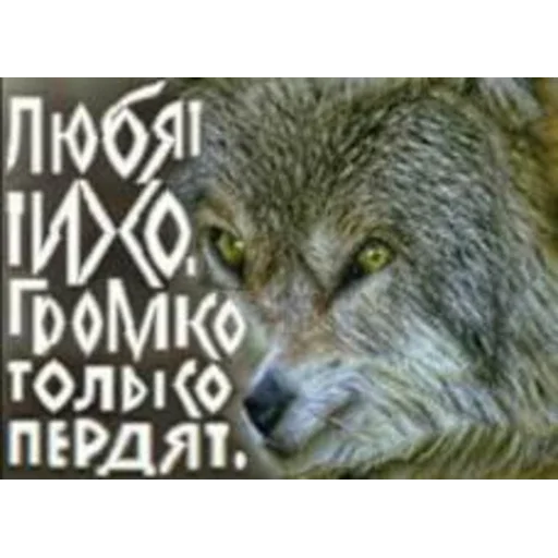 Sticker brokenpets - 1