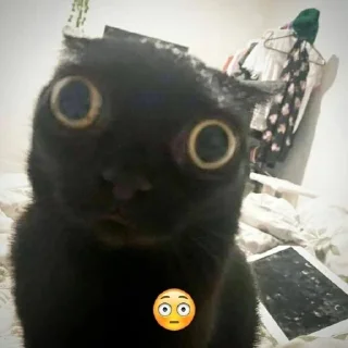 Sticker @peepiski кривые животные - 11