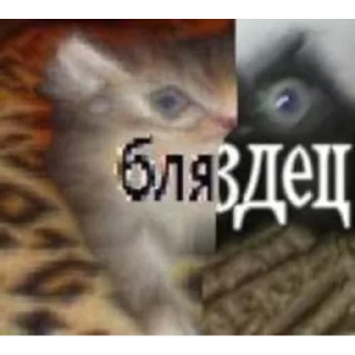 Sticker @peepiski кривые животные - 7