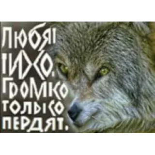 Sticker @peepiski кривые животные - 3