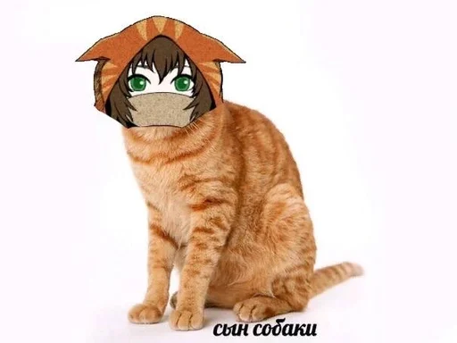 кошачьи кошки малого и среднего размера усы