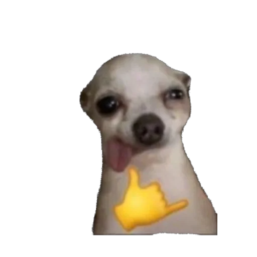 Sticker bruhers5 - 1