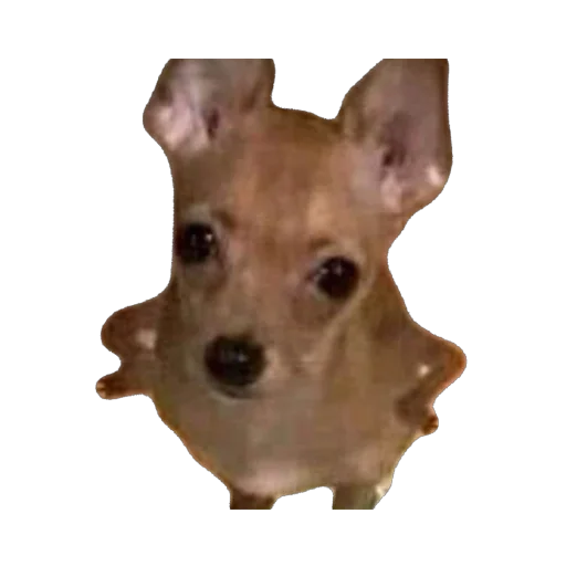 Sticker bruhers5 - 1