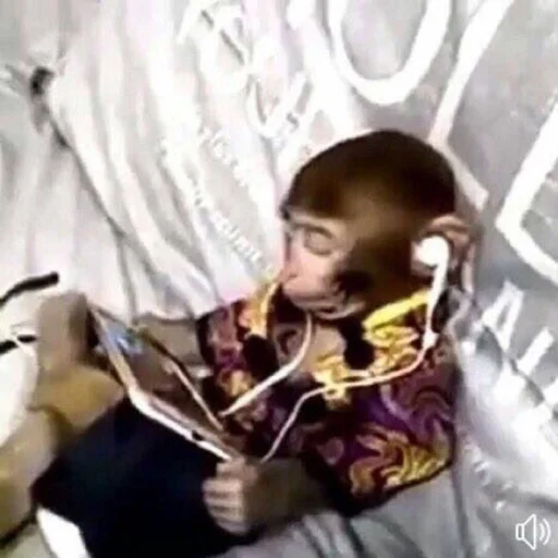 text person human face