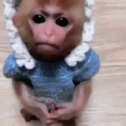 обезьяна младенец игрушка