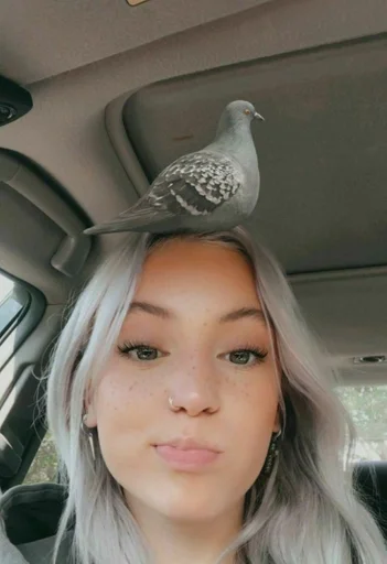 person human face pigeon