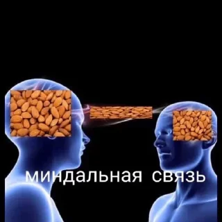 Sticker Curators🤍 - 0