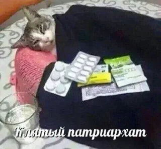 Sticker Curators🤍 - 10