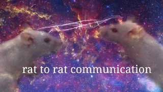 Sticker Curators🤍 - 4