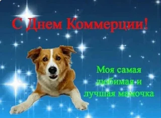 Sticker Curators🤍 - 5