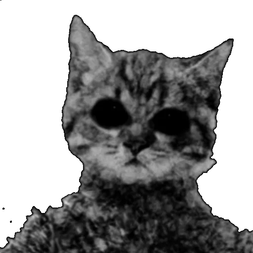 животное млекопитающее кошка