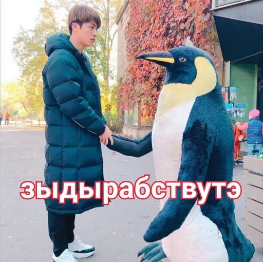 птица животное одежда