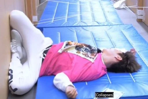 mammal comfort person