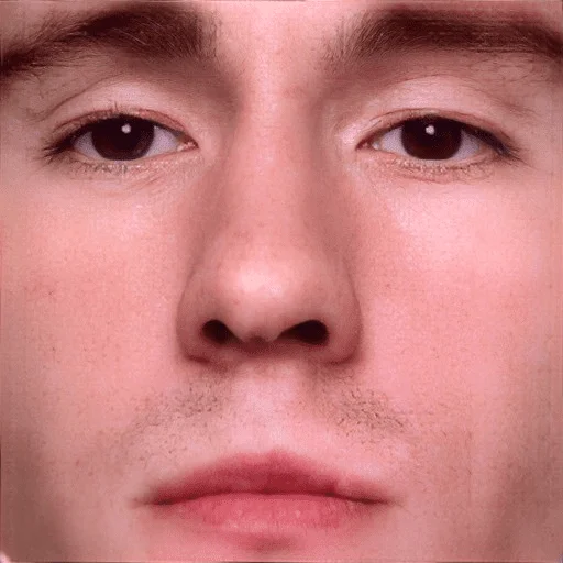 human face eyebrow skin