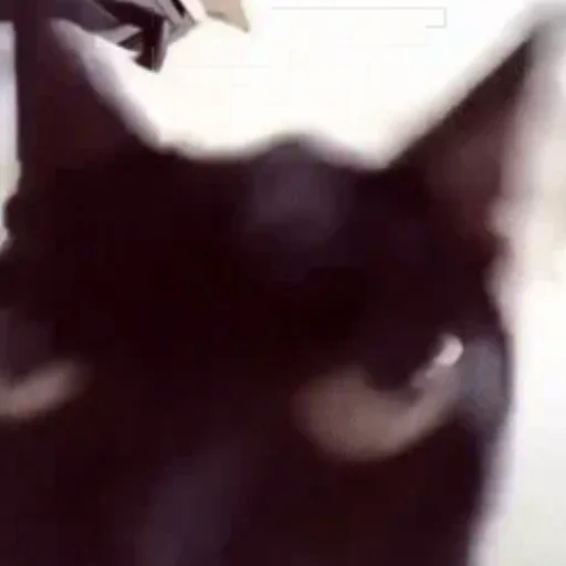 Sticker бубля младший - 5