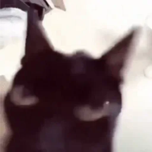 Sticker бубля младший - 4