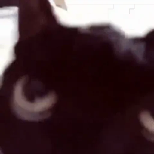 Sticker бубля младший - 1