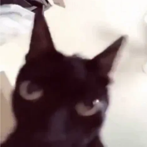 Sticker бубля младший - 0