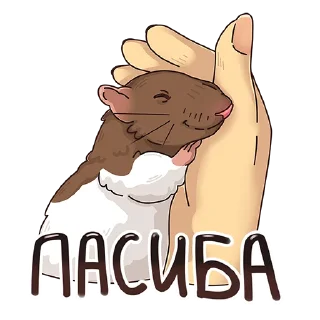 Стикер крыс Бублик - 6