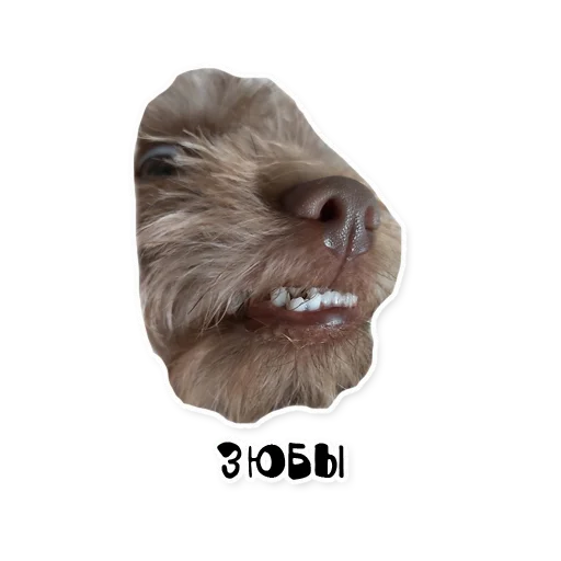 Sticker bublikyan - 1