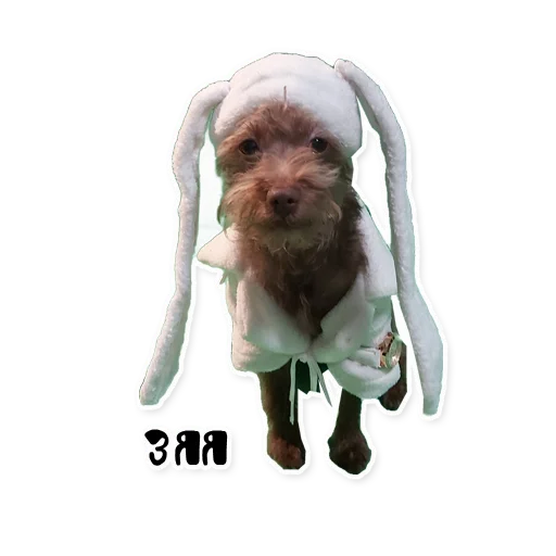 Sticker bublikyan - 1