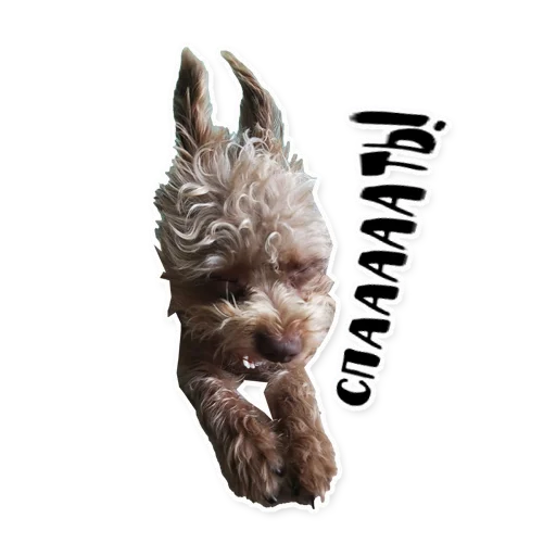 Sticker bublikyan - 1