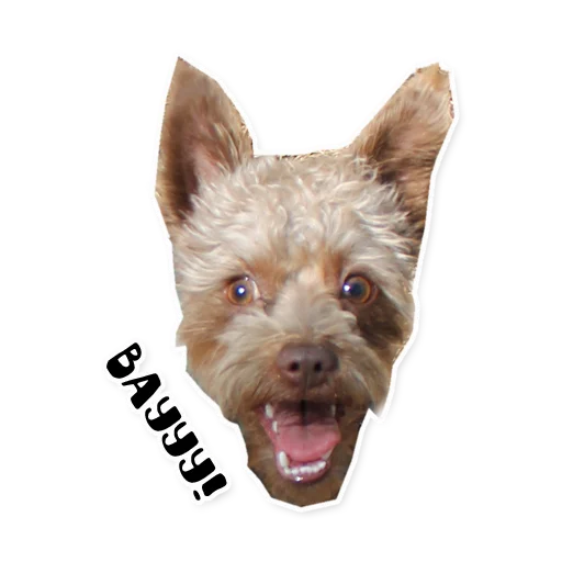 Sticker bublikyan - 1