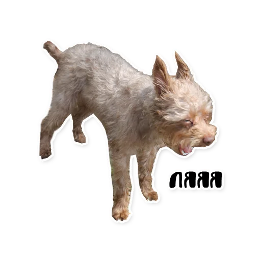 Sticker bublikyan - 1