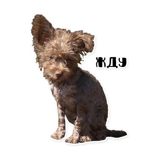 Sticker bublikyan - 1