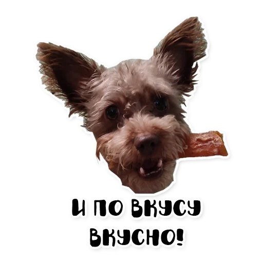 Sticker bublikyan - 1