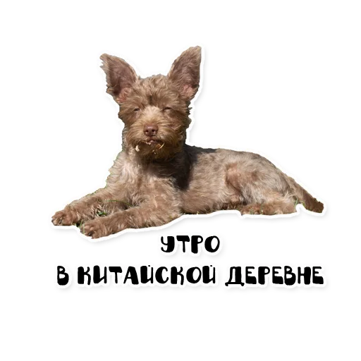 Sticker bublikyan - 1