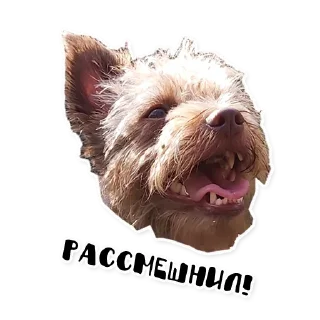 Стикер Бублик - 7