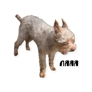 Стикер Бублик - 5