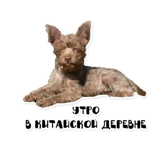 Стикер Бублик - 1