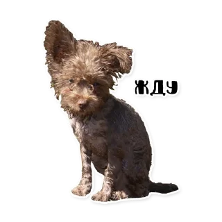 Стикер Бублик - 4