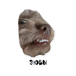 Стикер Бублик - 11