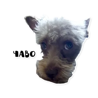 Стикер Бублик - 2