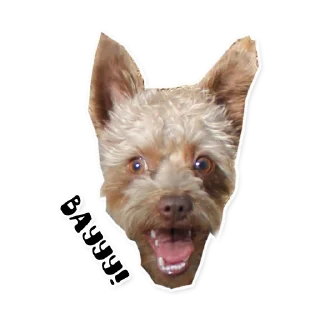 Стикер Бублик - 8