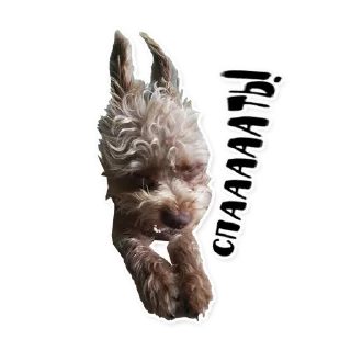 Стикер Бублик - 9