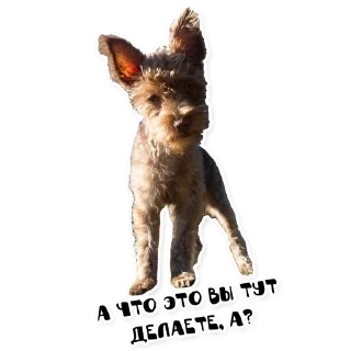 Стикер Бублик - 6