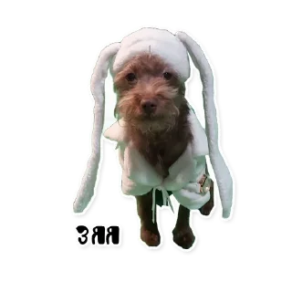 Стикер Бублик - 10