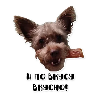 Стикер Бублик - 3