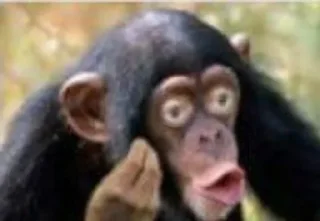 Стикер бублики блять - 10