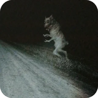 Sticker бубууу - 11