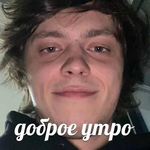 human face eyebrow person